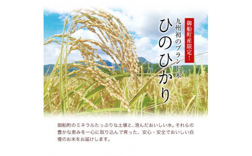 安心・安全 御船町産限定！【令和4年産】 ひのひかり 精米約12kg 御船共栄株式会社《30日以内に出荷予定(土日祝除く)》---sm_mkhino3_30d_22_15000_sei12kg---st-p