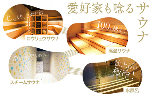 温泉 サウナご入浴 回数 券 11枚綴り Mifune Terrace ミフネテラス 《90日以内に出荷予定(土日祝除く)》熊本県 ---mifune_trc_1_11p---