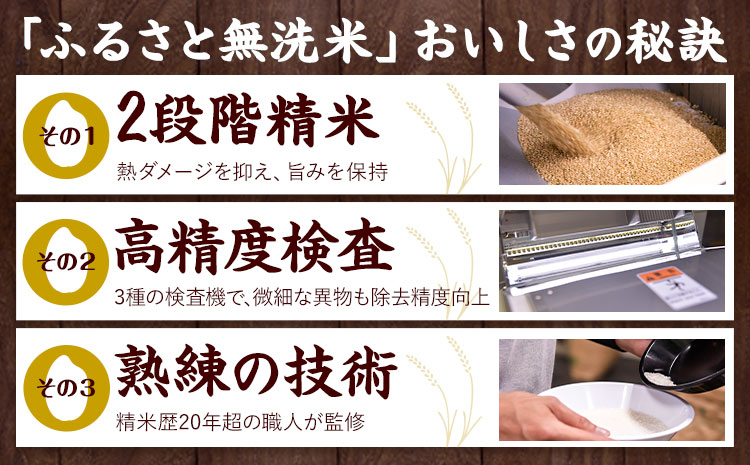 熊本ふるさと無洗米 20kg 無洗米 訳あり《1-5日以内に出荷予定(土日祝除く)》  熊本県産 無洗米 5kg×4袋---mifune_lcl_1358_20kg---