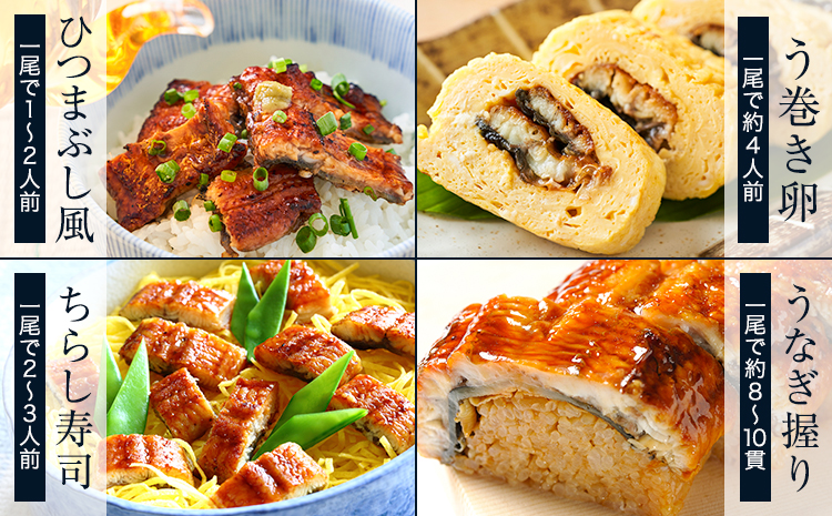 【12ヶ月定期便】鰻 鰻 国産 国産 うなぎ 国産 鰻 特上サイズ 4尾 (刻みうなぎ入り) うまか鰻 《申込み翌月から発送》 九州産 たれ さんしょう 付き ウナギ 鰻 unagi 蒲焼 うなぎの蒲焼 惣菜 ひつまぶし きざみうなぎ 特大サイズ 訳あり 定期便 蒲焼き ふるさとのうぜい---mf_fsktei_24_254500_mo12num1_4p---