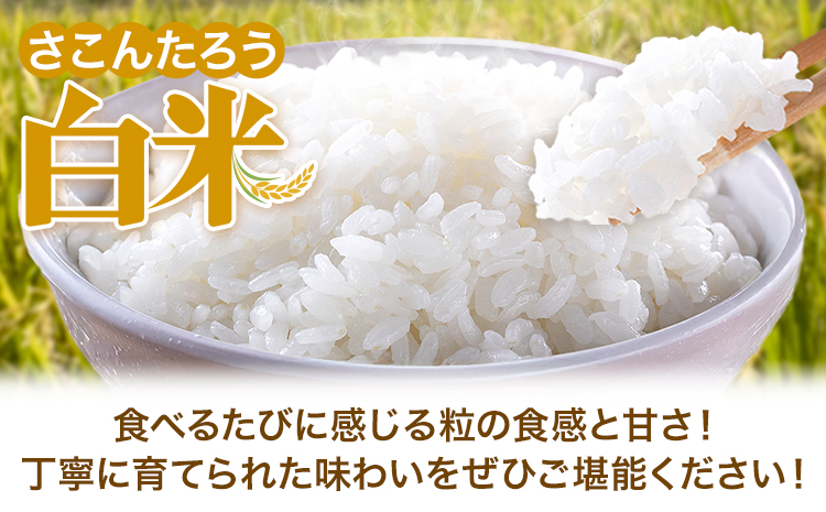 白米 5kg さこんたろう《90日以内に発送予定(土日祝除く)》熊本県 御船町 コメ おこめ 白米 ごはん 熊本県産---mifune_skt_1_5kg---