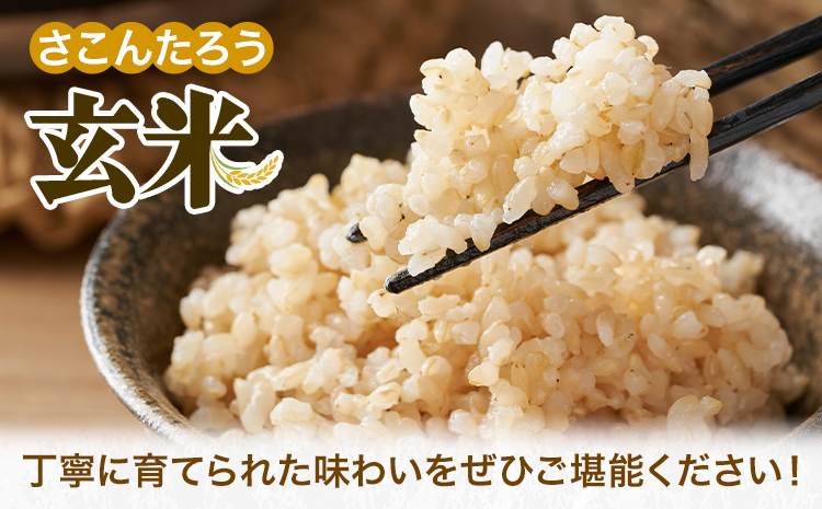 玄米 5kg さこんたろう《90日以内に発送予定(土日祝除く)》熊本県 御船町 コメ おこめ ごはん 熊本県産---mifune_skt_2_5kg---