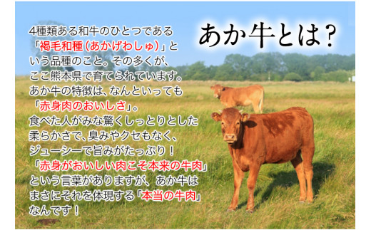熊本県産 あか牛 スライス（すきやき・しゃぶしゃぶ用）800g焼き肉 肉のみやべ 《120日以内に出荷予定(土日祝除く)》---mifune_myb_16_800g---