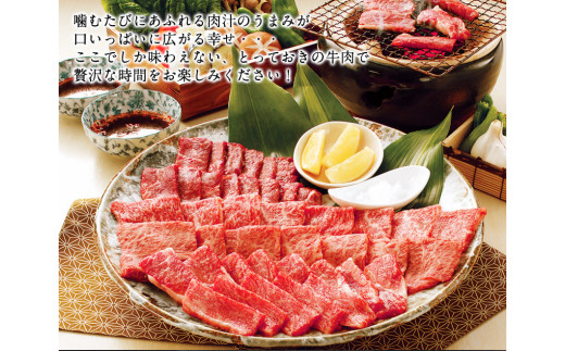 熊本県産 あか牛 焼き肉用 400g 肉のみやべ《120日以内に出荷予定(土日祝除く)》---sm_fmiyaakaya_120d_23_13500_400g---