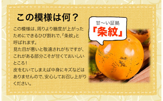 柿の横綱！『太柿』10玉前後(約3.5kg前後) 熊本県  JAかみましき《10月中旬-11月上旬頃出荷》フルーツ 熊本県産 ---sm_jatkaki_g10_21_10000_3500g---st-p