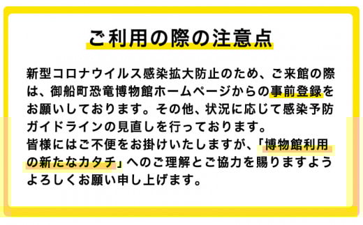 熊本県御船町 御船町恐竜博物館観覧チケット（大人3名様） 御船町恐竜博物館《30日以内に出荷予定(土日祝除く)》---sm_kyoryuticket_30d_r7_7000_a3---