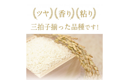 安心・安全 御船町産限定！【令和4年産】 ひのひかり 精米約12kg 御船共栄株式会社《30日以内に出荷予定(土日祝除く)》---sm_mkhino3_30d_22_15000_sei12kg---st-p