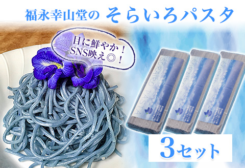 御船町 福永幸山堂のそらいろパスタ 3個入り《60日以内に出荷予定(土日祝除く)》熊本県 御船町 福永幸山堂 パスタ 青いパスタ---mifune_hkn_11_3p---