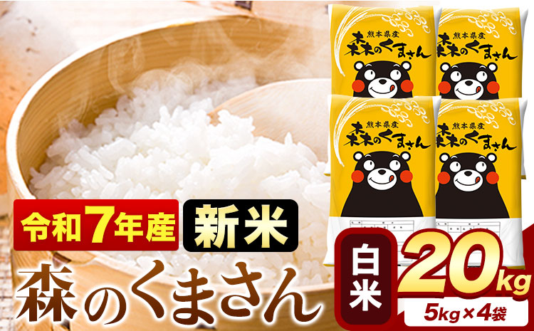 新米 令和7年産 森のくまさん 20kg 5kg × 4袋  白米 熊本県産 単一原料米 森くま《7-14日以内に出荷予定(土日祝除く)》送料無料---mifune_lcl_1052_20kg---