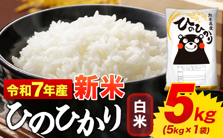 新米 白米 ひのひかり 5kg 令和7年産  熊本県産 ふるさと納税  白米 精米 《7-14日以内に出荷予定(土日祝除く)》 ひの 米 こめ ふるさとのうぜい ヒノヒカリ コメ お米 おこめ---mifune_lcl_974_5kg---