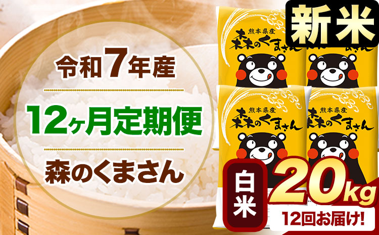 【12ヶ月定期便】新米 令和7年産 白米 森のくまさん 20kg 5kg×4袋 《お申込み翌月から出荷》 熊本県産 白米 精米 米 こめ コメ お米 kome---mifune_lcl_1092_mo12---