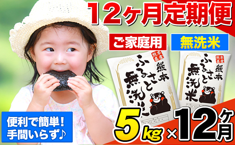 【12ヶ月定期便】無洗米 定期便《お申込み翌月から出荷》 熊本ふるさと無洗米 5kg 訳あり 米 コメ こめ 熊本県産 米 ふるさと納税 わけあり 以上のお米ならこれ お米 おこめ 熊本 SDGs むせんまい kome musennmai---mifune_lcl_954_mo12---