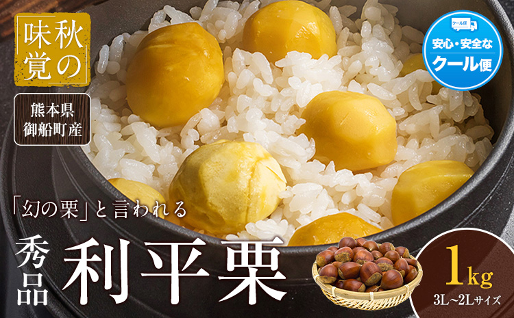 【先行予約】利平栗 約1kg(3L-2Lサイズ)　期間限定 野菜 予約 スイーツ きんとん 甘露煮 渋皮煮 《9月上旬-10月上旬出荷》---mifune_lcl_213_1---