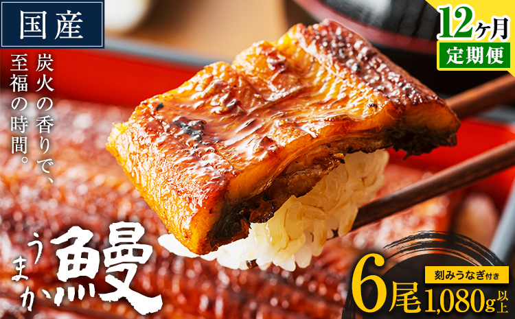 【12ヶ月定期】鰻 鰻 国産 国産 うなぎ 国産 鰻 特上サイズ 6尾 合計1080g (刻みうなぎ30g×3袋含む) うまか鰻 《申込み翌月から発送》 九州産 たれ さんしょう 付き ウナギ 鰻 unagi 蒲焼 うなぎの蒲焼 惣菜 ひつまぶし きざみうなぎ 特大サイズ 訳あり 定期便 蒲焼き ふるさとのうぜい---mf_fsktei_24_396500_mo12num1_6p---