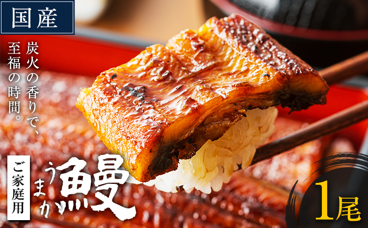 うなぎ ご家庭用 1尾 国産 鰻 真空パック おすすめ うなぎの蒲焼 《30日以内に出荷予定(土日祝除く)》 有頭 訳あり 簡易包装 不揃い ウナギ unagi 蒲焼 秋 冬 旬 配送時期 冷凍---mifune_lcl_71_1p---