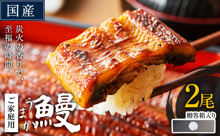 うなぎ 2尾 + 刻みうなぎ 1袋 【贈答箱入り】 国産 鰻 真空パック おすすめ うなぎの蒲焼 《30日以内に出荷予定(土日祝除く)》 有頭 訳あり 簡易包装 不揃い ウナギ unagi 蒲焼 秋 冬 旬 配送時期 冷凍---mifune_lcl_1138_2p---
