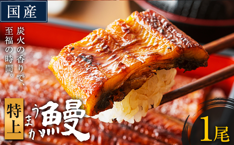 うなぎ 特上サイズ 1尾 国産 鰻 真空パック おすすめ うなぎの蒲焼 《30日以内に出荷予定(土日祝除く)》 有頭 特上 簡易包装 ウナギ unagi 蒲焼 秋 冬 旬 配送時期 冷凍---mifune_lcl_75_1dai---