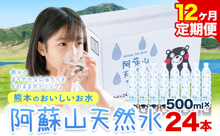 【12ヶ月定期便】水 熊本 の おいしい お水 阿蘇山 天然水数 500ml × 24本 丸富産業《お申し込みの翌月から出荷開始》熊本県 御船町 水 天然水 みず 熊本 飲料 熊本県 ミネラルウォーター---mifune_mrt_15_mo12num1---