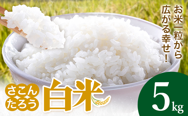 白米 5kg さこんたろう《90日以内に発送予定(土日祝除く)》熊本県 御船町 コメ おこめ 白米 ごはん 熊本県産---mifune_skt_1_5kg---
