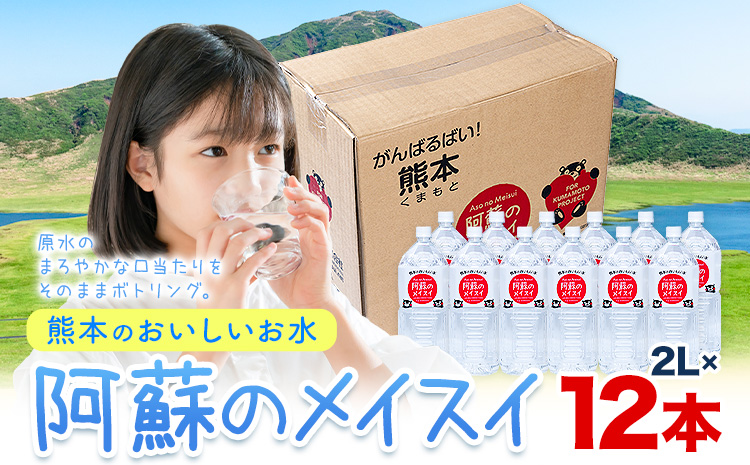 水 熊本 の おいしい お水 阿蘇 メイスイ 天然水 2L × 12本 2ケース 丸富産業《30日以内に出荷予定(土日祝除く)》熊本県 御船町 水 天然水 みず 熊本 飲料 熊本県 ミネラルウォーター---mifune_mrt_9_12---