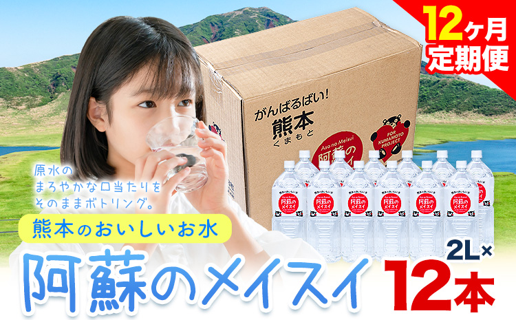 【12ヶ月定期便】水 熊本 の おいしい お水 阿蘇 メイスイ 天然水 2L × 12本 2ケース 丸富産業《 お申込み月の翌月から出荷開始》熊本県 御船町 水 天然水 みず 熊本 飲料 熊本県 ミネラルウォーター---mifune_mrt_12_mo12num1---