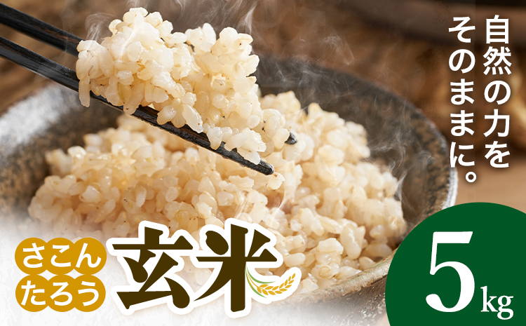 玄米 5kg さこんたろう《90日以内に発送予定(土日祝除く)》熊本県 御船町 コメ おこめ ごはん 熊本県産---mifune_skt_2_5kg---