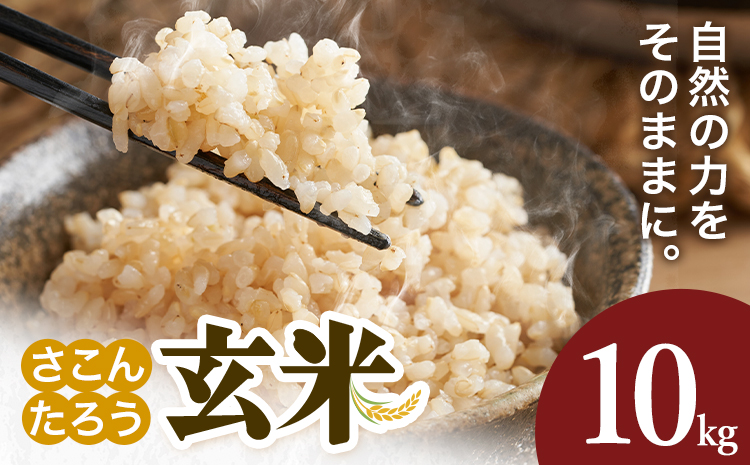 玄米 10kg さこんたろう《90日以内に発送予定(土日祝除く)》熊本県 御船町 コメ おこめ ごはん 熊本県産---mifune_skt_4_10kg---
