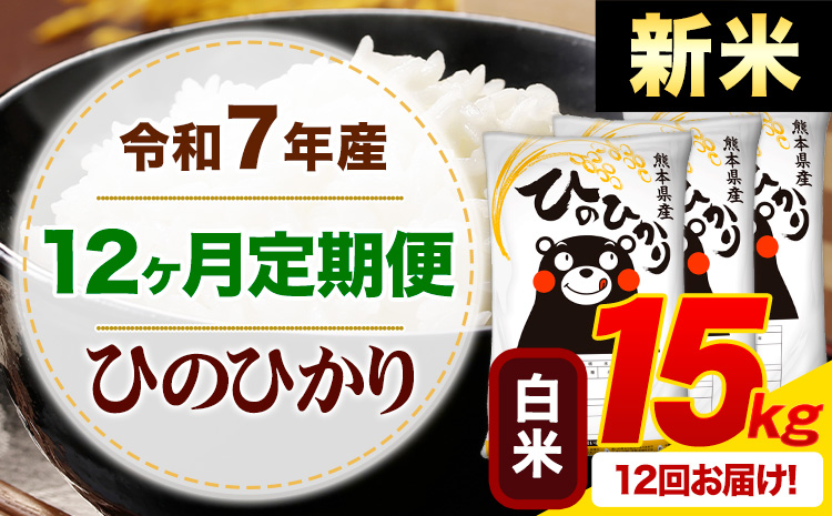 【12ヶ月定期便】新米 令和7年産 白米 ひのひかり 定期便 15kg《お申込み翌月から出荷》 熊本県産 ふるさと納税 精米 ひの 米 こめ ふるさとのうぜい ヒノヒカリ コメ お米---mifune_lcl_1018_mo12---