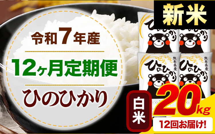 【12ヶ月定期便】新米 令和7年産 白米 ひのひかり 定期便 20kg《お申込み翌月から出荷》 熊本県産 ふるさと納税 精米 ひの 米 こめ ふるさとのうぜい ヒノヒカリ コメ お米---mifune_lcl_1020_mo12---