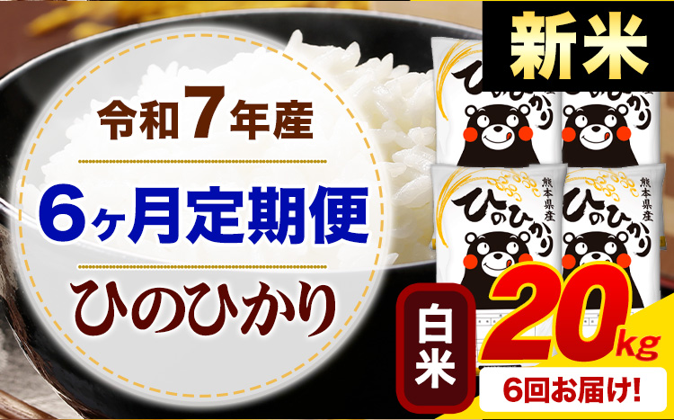 【6ヶ月定期便】新米 令和7年産 白米 ひのひかり 定期便 20kg《お申込み翌月から出荷》 熊本県産 ふるさと納税 精米 ひの 米 こめ ふるさとのうぜい ヒノヒカリ コメ お米---mifune_lcl_1004_mo6---
