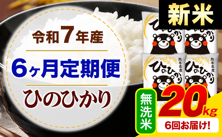 【6ヶ月定期便】新米 令和7年産 無洗米 ひのひかり 定期便 20kg《お申込み翌月から出荷》 熊本県産 ふるさと納税 精米 ひの 米 こめ ふるさとのうぜい ヒノヒカリ コメ お米---mifune_lcl_1005_mo6---