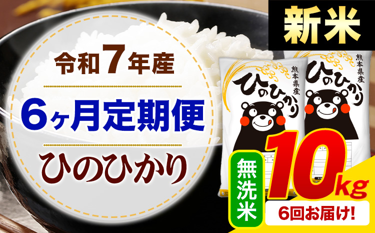 【6ヶ月定期便】新米 令和7年産 無洗米 ひのひかり 定期便 10kg《お申込み翌月から出荷》熊本県産 ふるさと納税 精米 ひの 米 こめ ふるさとのうぜい ヒノヒカリ コメ お米---mifune_lcl_1001_mo6---