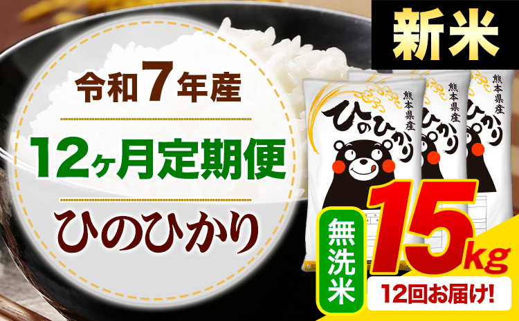 【12ヶ月定期便】新米 令和7年産 無洗米 ひのひかり 定期便 15kg《お申込み翌月から出荷》 熊本県産 ふるさと納税 精米 ひの 米 こめ ふるさとのうぜい ヒノヒカリ コメ お米---mifune_lcl_1019_mo12---