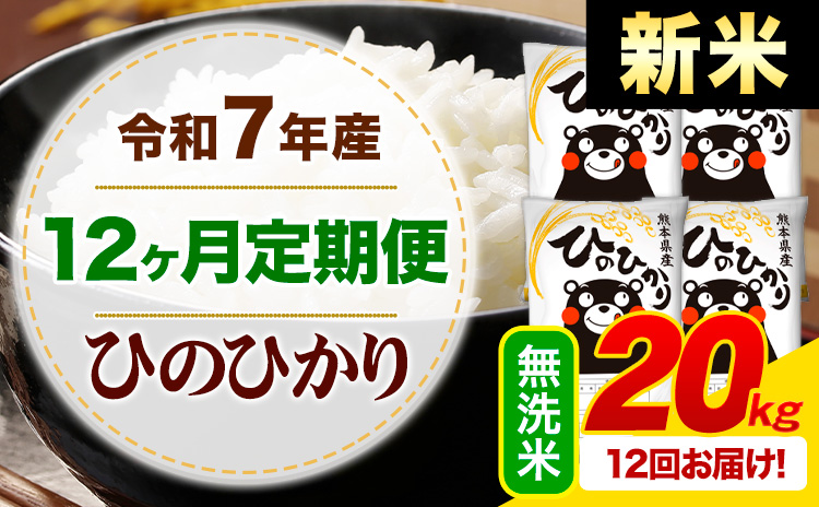 【12ヶ月定期便】新米 令和7年産 無洗米 ひのひかり 定期便 20kg《お申込み翌月から出荷》 熊本県産 ふるさと納税 精米 ひの 米 こめ ふるさとのうぜい ヒノヒカリ コメ お米---mifune_lcl_1021_mo12---