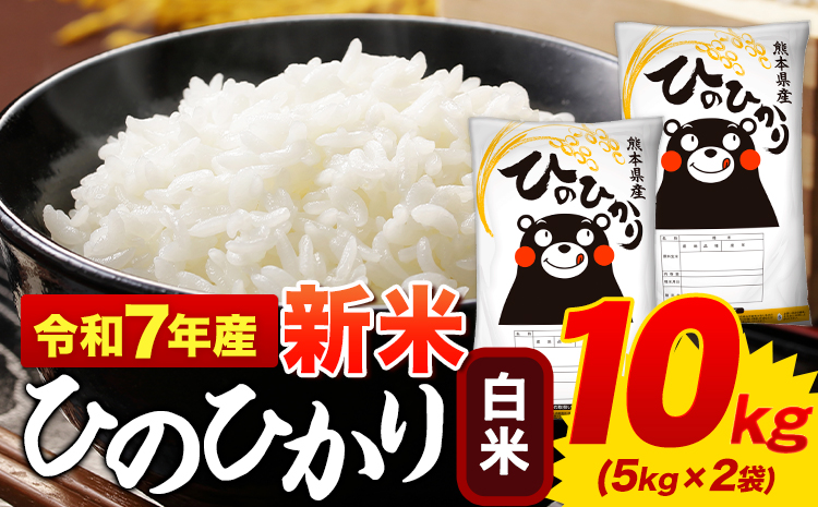 新米 令和7年産 ひのひかり 白米 10kg 《7-14日以内に出荷予定(土日祝除く)》 5kg×2袋 熊本県産 米 精米 ひの 御船町---mifune_lcl_976_10kg---