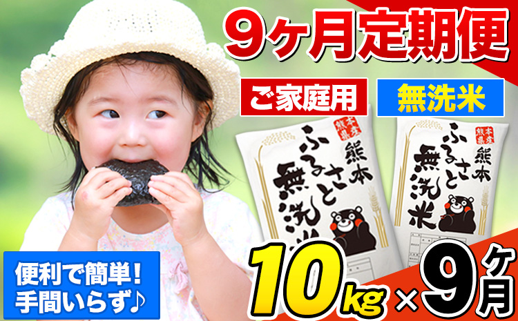 【9ヶ月定期便】熊本ふるさと無洗米 10kg《お申込み翌月から出荷》 訳あり 米 コメ こめ 熊本県産 米 ふるさと納税 わけあり 以上のお米ならこれ お米 おこめ 熊本 むせんまい kome musennmai 定期便---mifune_lcl_951_mo9---