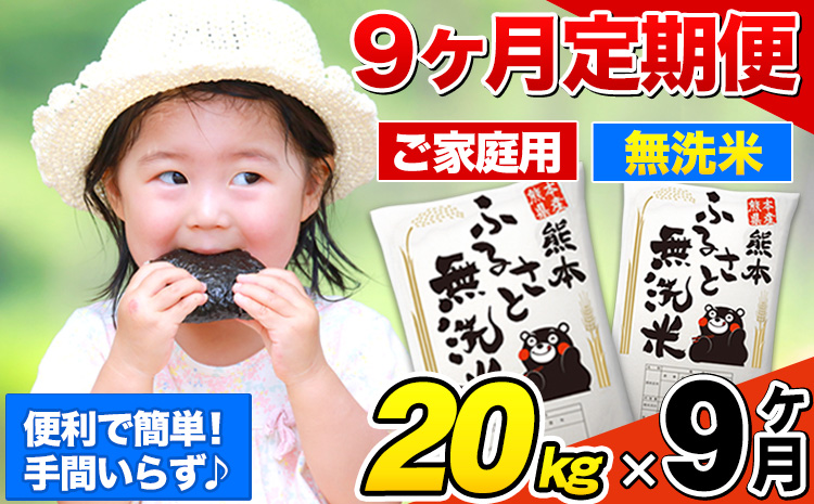 【9ヶ月定期便】熊本ふるさと無洗米 20kg 訳あり《お申込み翌月から出荷》 米 コメ こめ 熊本県産 米 ふるさと納税 わけあり 以上のお米ならこれ お米 おこめ 熊本 むせんまい kome musennmai 定期便---mifune_lcl_953_mo9---