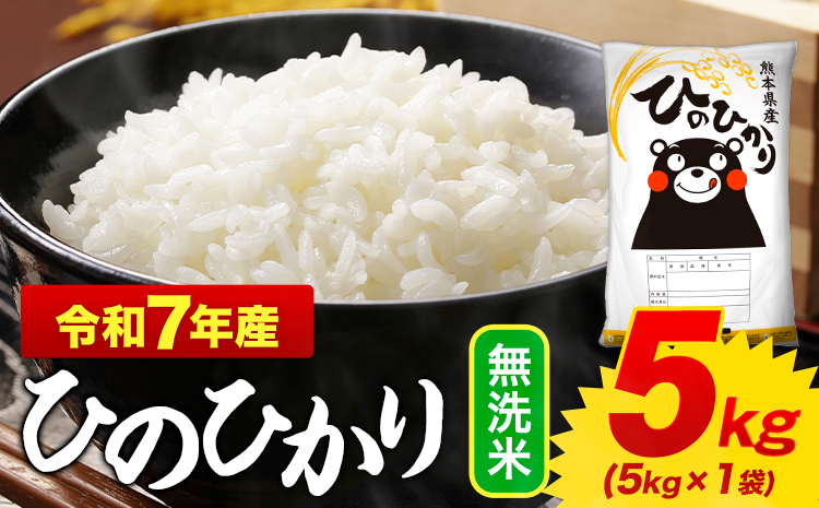 無洗米 ひのひかり 5kg 令和7年産  熊本県産 ふるさと納税 無洗米  精米 《7-14日以内に出荷予定(土日祝除く)》 ひの 米 こめ ふるさとのうぜい ヒノヒカリ コメ お米 おこめ---mifune_lcl_1212_5kg---