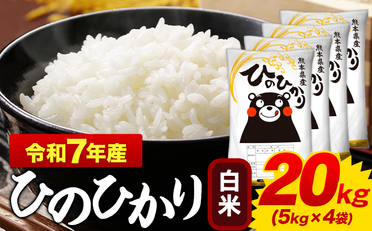 令和7年産  白米 ひのひかり 20kg 熊本県産 ふるさと納税  白米 精米 《1-5日以内に出荷予定(土日祝除く)》 ひの 米 こめ ふるさとのうぜい ヒノヒカリ コメ お米 おこめ---mifune_lcl_1215_20kg---