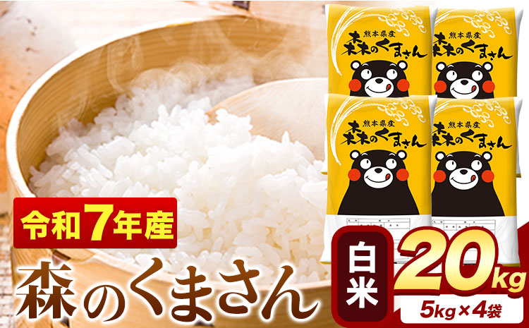 令和7年産 白米 森のくまさん 20kg 5kg × 4袋 熊本県産 単一原料米 森くま《7-14日以内に出荷予定(土日祝除く)》送料無料---mifune_lcl_1239_20kg---