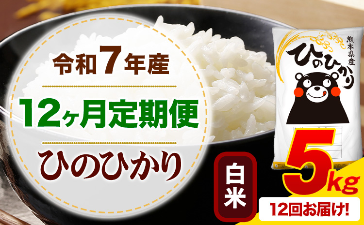 【12ヶ月定期便】 令和7年産 白米 ひのひかり 定期便 5kg《お申込み翌月から出荷》 熊本県産 ふるさと納税 精米 ひの 米 こめ ふるさとのうぜい ヒノヒカリ コメ お米---mifune_lcl_1229_mo12_---