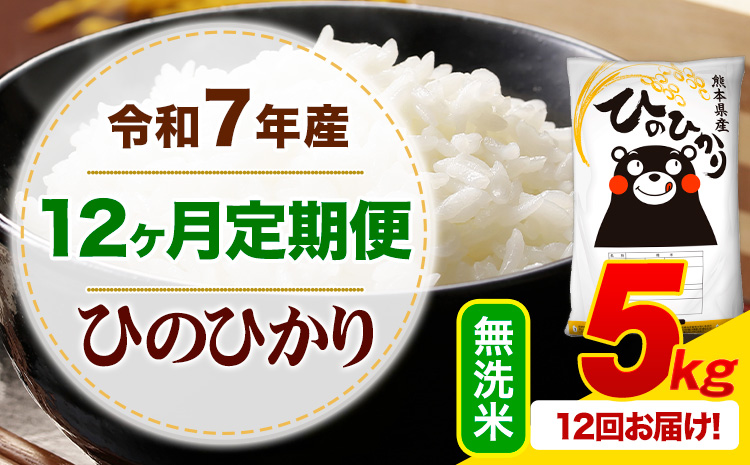 【12ヶ月定期便】 令和7年産 無洗米 ひのひかり 定期便 5kg《お申込み翌月から出荷》熊本県産 ふるさと納税 精米 ひの 米 こめ ふるさとのうぜい ヒノヒカリ コメ お米---mifune_lcl_1230_mo12_---