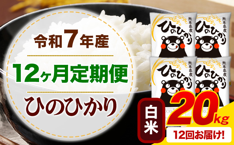 【12ヶ月定期便】 令和7年産 白米 ひのひかり 定期便 20kg《お申込み翌月から出荷》 熊本県産 ふるさと納税 精米 ひの 米 こめ ふるさとのうぜい ヒノヒカリ コメ お米---mifune_lcl_1233_mo12_---