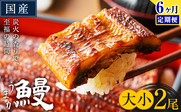 【6ヶ月定期便】うなぎ 大小 2尾  国産 鰻 真空パック おすすめ うなぎの蒲焼 《お申込み翌月から出荷》 ふるさとのうぜい 特上 簡易包装 ウナギ unagi 蒲焼 秋 冬 旬 配送時期 冷凍---mifune_lcl_1337_mo6---
