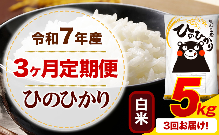 【3ヶ月定期便】 令和7年産 白米 ひのひかり 定期便 5kg《お申込み翌月から出荷》 熊本県産 ふるさと納税 精米 ひの 米 こめ ふるさとのうぜい ヒノヒカリ コメ お米---mifune_lcl_1217_mo3_---
