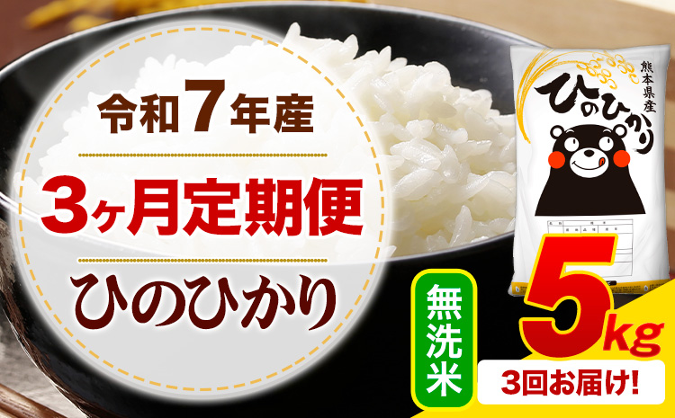 【3ヶ月定期便】 令和7年産 無洗米 ひのひかり 定期便 5kg《お申込み翌月から出荷》 熊本県産 ふるさと納税 精米 ひの 米 こめ ふるさとのうぜい ヒノヒカリ コメ お米---mifune_lcl_1218_mo3_---