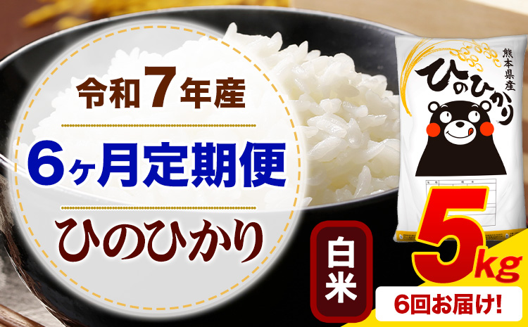 【6ヶ月定期便】 令和7年産 白米 ひのひかり 定期便 5kg《お申込み翌月から出荷》 熊本県産 ふるさと納税 精米 ひの 米 こめ ふるさとのうぜい ヒノヒカリ コメ お米---mifune_lcl_1223_mo6_---