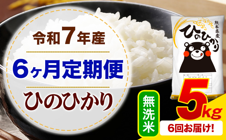 【6ヶ月定期便】 令和7年産 無洗米 ひのひかり 定期便 5kg《お申込み翌月から出荷》 熊本県産 ふるさと納税 精米 ひの 米 こめ ふるさとのうぜい ヒノヒカリ コメ お米---mifune_lcl_1224_mo6_---