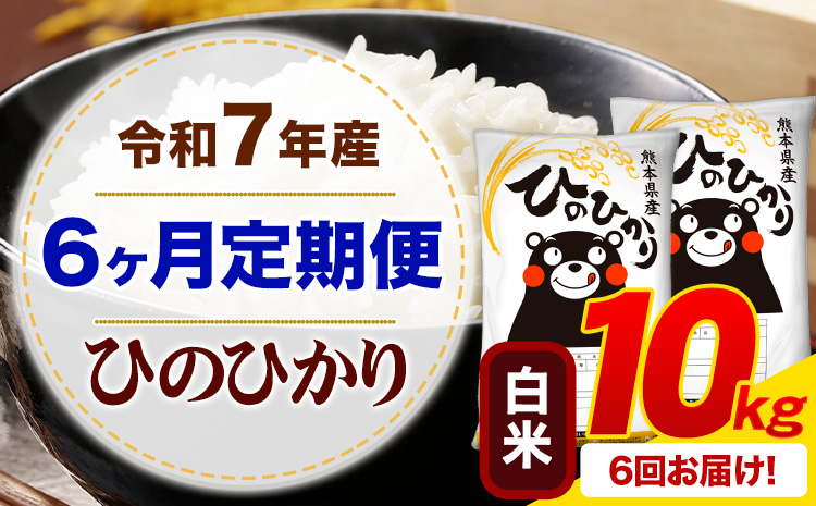 【6ヶ月定期便】 令和7年産 白米 ひのひかり 定期便 10kg《お申込み翌月から出荷》 熊本県産 ふるさと納税 精米 ひの 米 こめ ふるさとのうぜい ヒノヒカリ コメ お米---mifune_lcl_1387_mo6---