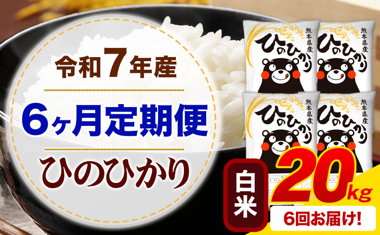 【6ヶ月定期便】 令和7年産 白米 ひのひかり 定期便 20kg《お申込み翌月から出荷》 熊本県産 ふるさと納税 精米 ひの 米 こめ ふるさとのうぜい ヒノヒカリ コメ お米---mifune_lcl_1227_mo6_---